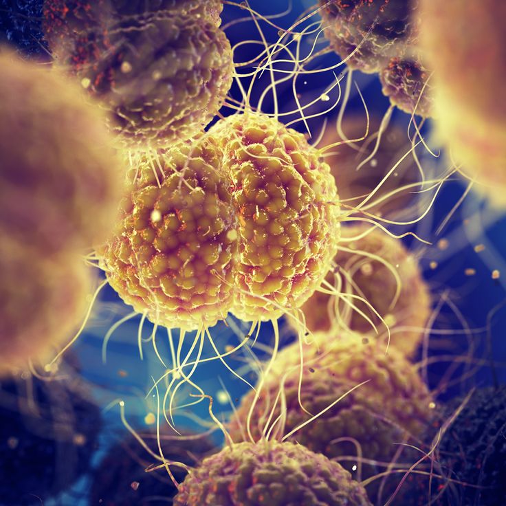 Sexually Transmitted Infections